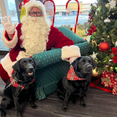 Here is a photo of Santa posing with two dogs at the Alpena Pictures with Santa event.