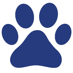 Paw Icon